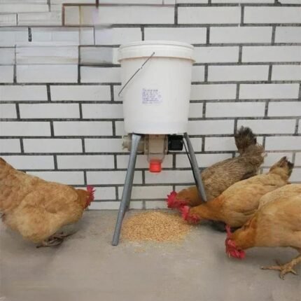 Automatic Chicken Feeder Pigeon Chicken Duck Carrier Pigeon Trough Intellegent Timing Automatic Chicken Feeder Pigeon Supplies