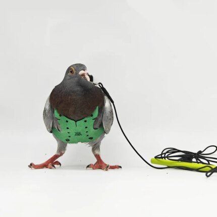 Parrot Pigeon Harness And Leash Flying Anti-bite Traction Rope Straps Bird Training Outdoor Carrying Adjustable Bird Pet Product