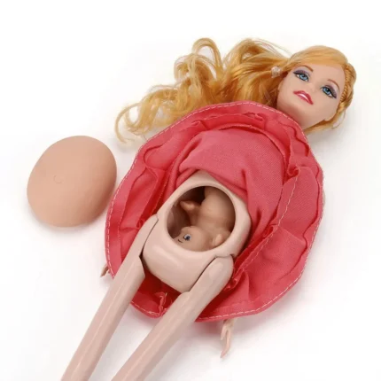 Baby Toy Pregnancy Doll Set Pregnant Doll Suit Doll Have A Baby In Her Tummy For Barbie Doll Child Toy Educational Toy