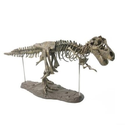 Large DIY Dinosaur Skeleton Toys Ornament Simulation T-Rex Model Jurassi Assembled Skeleton Park Fossilized Dragon for Kids Boys