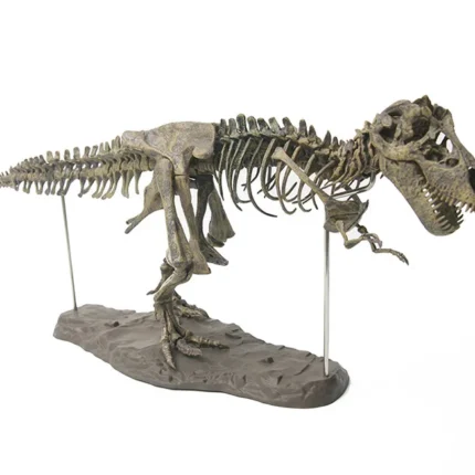 Large DIY Dinosaur Skeleton Toys Ornament Simulation T-Rex Model Jurassi Assembled Skeleton Park Fossilized Dragon for Kids Boys