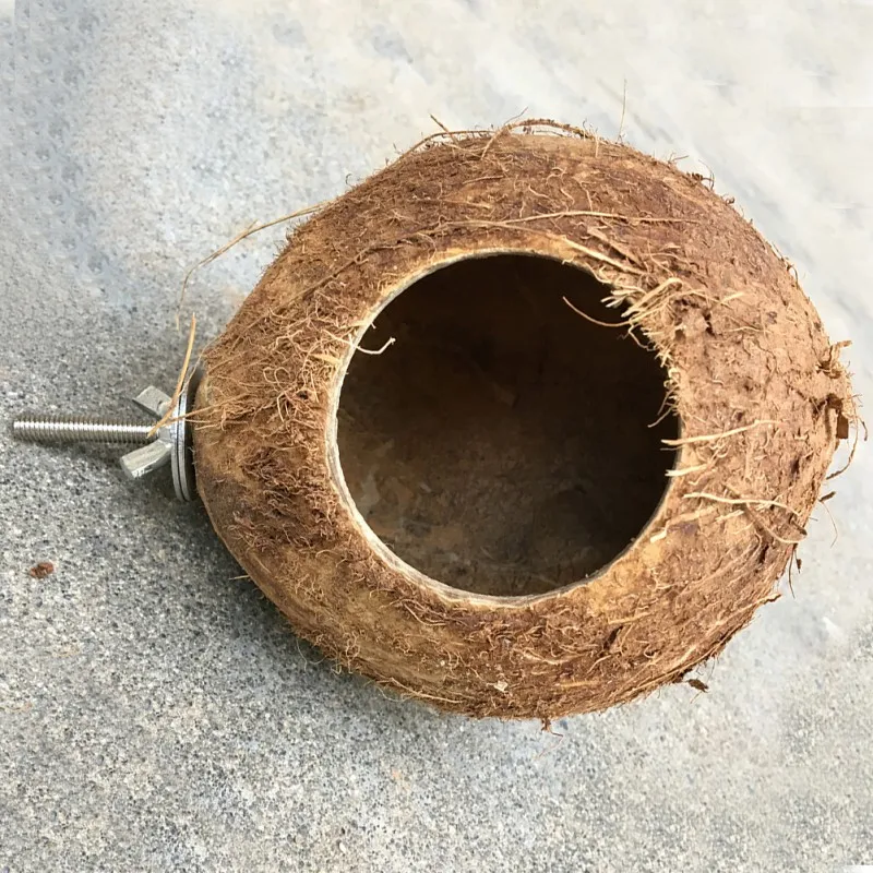 Coconut Shell Pet Squirrel Toy Hamster Squirrel Breeding Nest Crafts Delicate Bird House Pendant for Yard Garden - Image 2