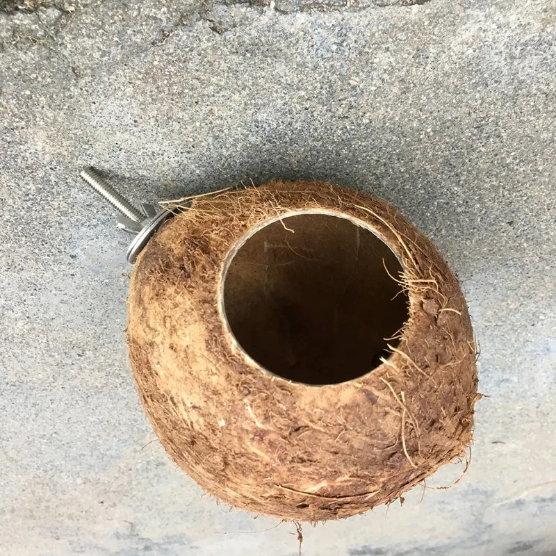 Coconut Shell Pet Squirrel Toy Hamster Squirrel Breeding Nest Crafts Delicate Bird House Pendant for Yard Garden - Image 3