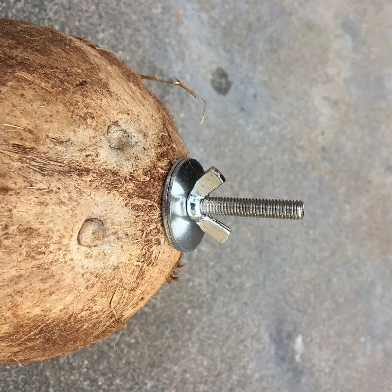 Coconut Shell Pet Squirrel Toy Hamster Squirrel Breeding Nest Crafts Delicate Bird House Pendant for Yard Garden - Image 4