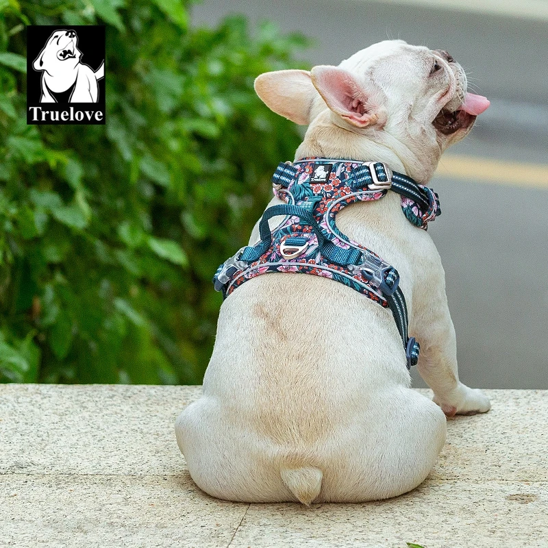 Truelove Pet Harness Small Medium Large Split Dog Fashion Outdoor - Image 5